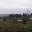 1c_INFO FOTO.JPG